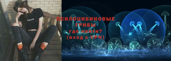 кокс Арсеньев