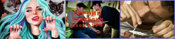 кокс Арсеньев