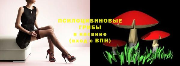 кокс Арсеньев