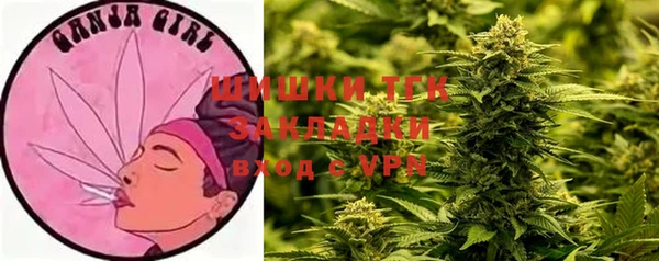 ПСИЛОЦИБИНОВЫЕ ГРИБЫ Армянск