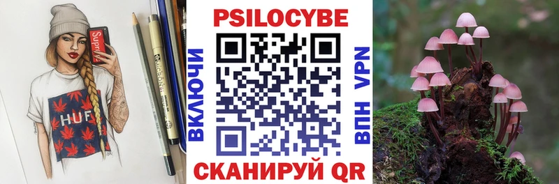 Галлюциногенные грибы Psilocybine cubensis  магазин продажи наркотиков  Полевской 